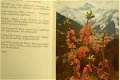 Blumen in den Alpen - 1 - Thumbnail