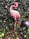 Prachtige grote forse metalen flamingo-flamingo-vogel - 0 - Thumbnail