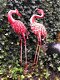 Prachtige grote forse metalen flamingo-flamingo-vogel - 5 - Thumbnail