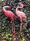 Prachtige set grote forse metalen flamingo-vogel-vijver - 2 - Thumbnail