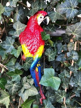 Rode papegaai, gietijzer-pappegaai-tuin-deco-kado - 0