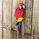 Rode papegaai, gietijzer-pappegaai-tuin-deco-kado - 1 - Thumbnail