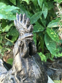 Sculptuur Haan metaal, bronskleur- haan-tuin beeld - 2