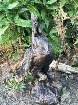 Sculptuur Haan metaal, bronskleur- haan-tuin beeld - 5