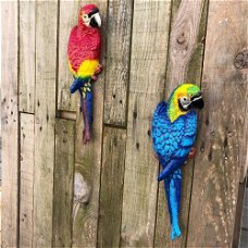 Set papegaaien, gietijzer-papegaai-tuin-Accessoires-kado