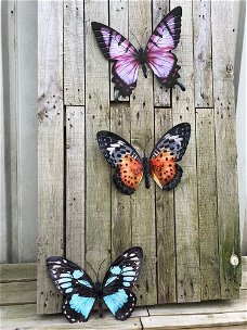 Set van 3 Vlinders, geheel metaal en vol in kleur-vlinder