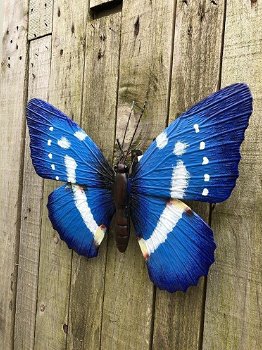 Set Vlinders-geheel metaal en vol in kleur oranje zwart bl - 5