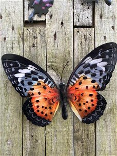 Vlinder, geheel metaal-vol in kleur oranje zwart-vlinder