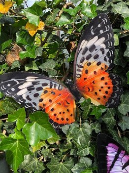 Vlinder, geheel metaal-vol in kleur oranje zwart-vlinder - 3