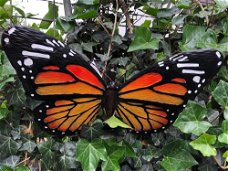 Vlinder, geheel metaal- kleur oranje zwart-vlinder-deco