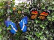 Vlinder, geheel metaal- kleur oranje zwart-vlinder-deco - 3 - Thumbnail