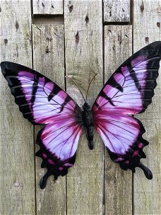 Vlinder, geheel metaal -vol in kleur paars- zwart-vlinder
