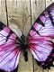 Vlinder, geheel metaal -vol in kleur paars- zwart-vlinder - 4 - Thumbnail