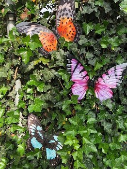 Vlinder, geheel metaal -vol in kleur paars- zwart-vlinder - 5
