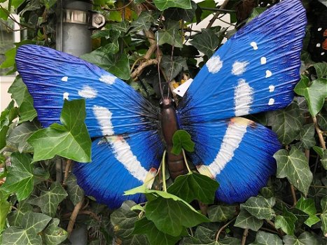 Vlinder, geheel metaal en vol in kleur-vlinder-blauw-deco - 0