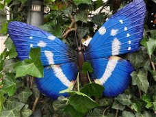 Vlinder, geheel metaal en vol in kleur-vlinder-blauw-deco