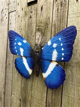 Vlinder, geheel metaal en vol in kleur-vlinder-blauw-deco - 2