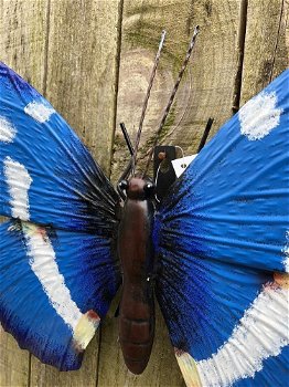 Vlinder, geheel metaal en vol in kleur-vlinder-blauw-deco - 4
