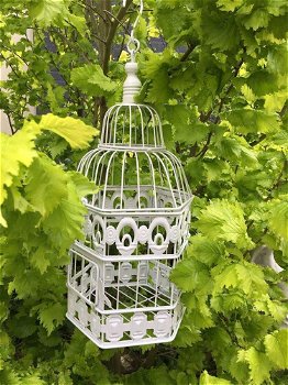 Vogelkooi S rond 6 kant met bloemmotief-vogelkooi-vogel - 0