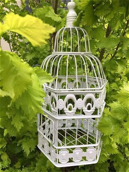 Vogelkooi S rond 6 kant met bloemmotief-vogelkooi-vogel - 2