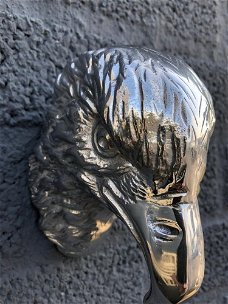 Wand ornament kop adelaar in aluminium-adelaar