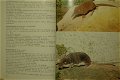 Zoogdieren - 5 - Thumbnail