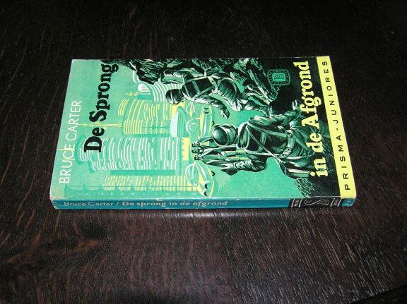 De sprong in de afgrond- Bruce Carter - Afbeelding 3