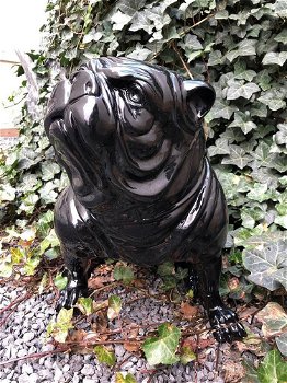 Bulldog Engels model, polystein-zwart zittend-bulldog - 0