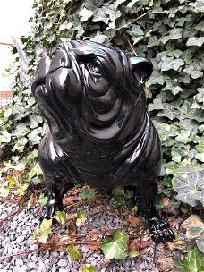 Bulldog Engels model, polystein-zwart zittend-bulldog