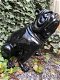 Bulldog Engels model, polystein-zwart zittend-bulldog - 1 - Thumbnail