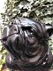 Bulldog Engels model, polystein-zwart zittend-bulldog - 2 - Thumbnail