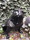 Bulldog Engels model, polystein-zwart zittend-bulldog - 3 - Thumbnail