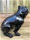 Bulldog Engels model, polystein-zwart zittend-bulldog - 4 - Thumbnail