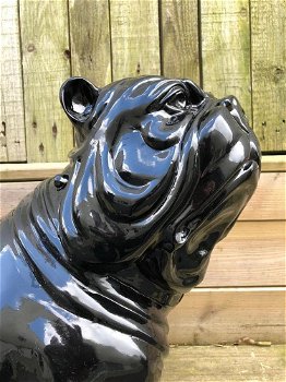 Bulldog Engels model, polystein-zwart zittend-bulldog - 5