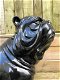 Bulldog Engels model, polystein-zwart zittend-bulldog - 5 - Thumbnail