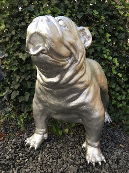 Bulldog groot en fors model, polystein-bulldog-hond - 2