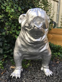 Bulldog groot en fors model, polystein-bulldog-hond - 3