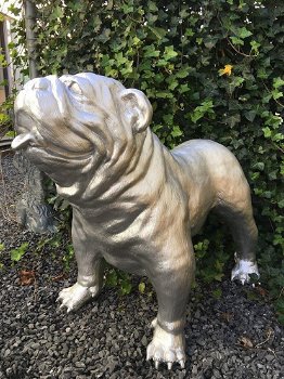 Bulldog groot en fors model, polystein-bulldog-hond - 4