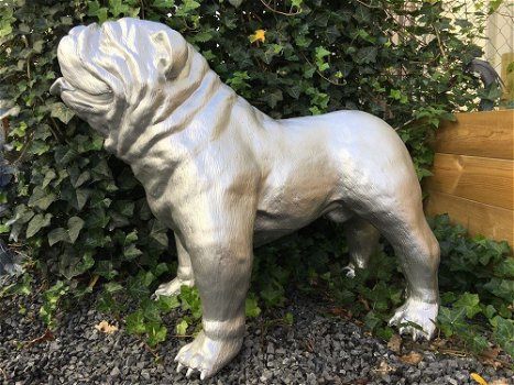 Bulldog groot en fors model, polystein-bulldog-hond - 5