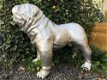 Bulldog groot en fors model, polystein-bulldog-hond - 5 - Thumbnail
