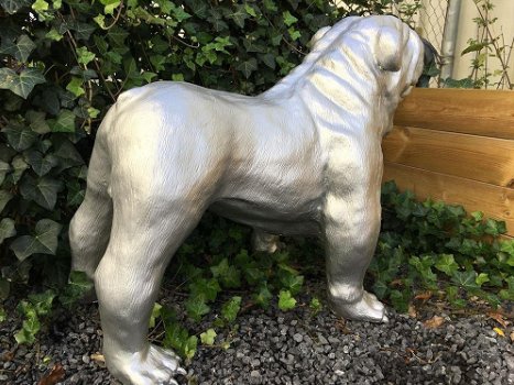 Bulldog groot en fors model, polystein-bulldog-hond - 7
