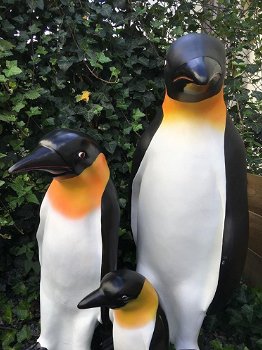 Familie Pinguin beelden in kleur, polystein-pinquin-pinguin - 4
