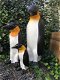 Familie Pinguin beelden in kleur, polystein-pinquin-pinguin - 5 - Thumbnail