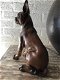 Franse bulldog model-craftwood-bruin zittend-hond-dog - 2 - Thumbnail