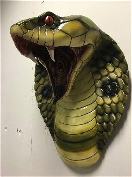 Grote imponerende cobrakop, polystein-cobra-slang - 1