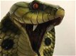 Grote imponerende cobrakop, polystein-cobra-slang - 4 - Thumbnail