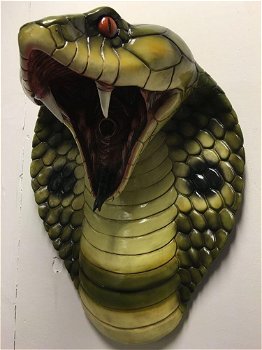 Grote imponerende cobrakop, polystein-cobra-slang - 5