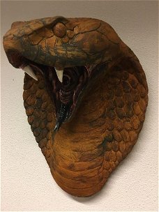 Grote imponerende oxide cobrakop, polystein-cobra
