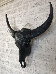 Indian stierenschedel zwart kleur-zwarte horens-schedel