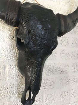 Indian stierenschedel zwart kleur-zwarte horens-schedel - 2
